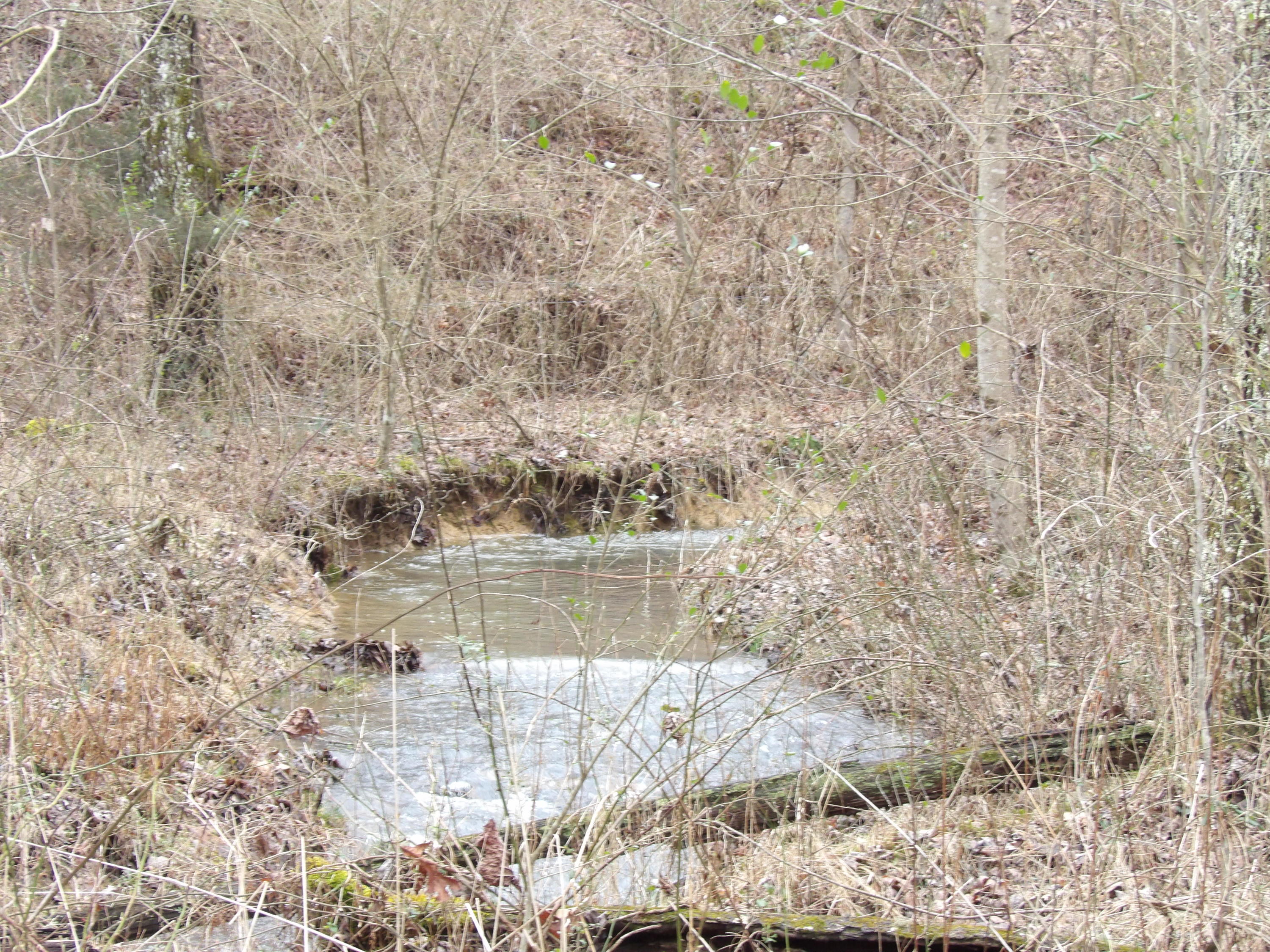 50 Griffith Road Pikeville, TN 37367 - Photo 14 of 22 100_2239