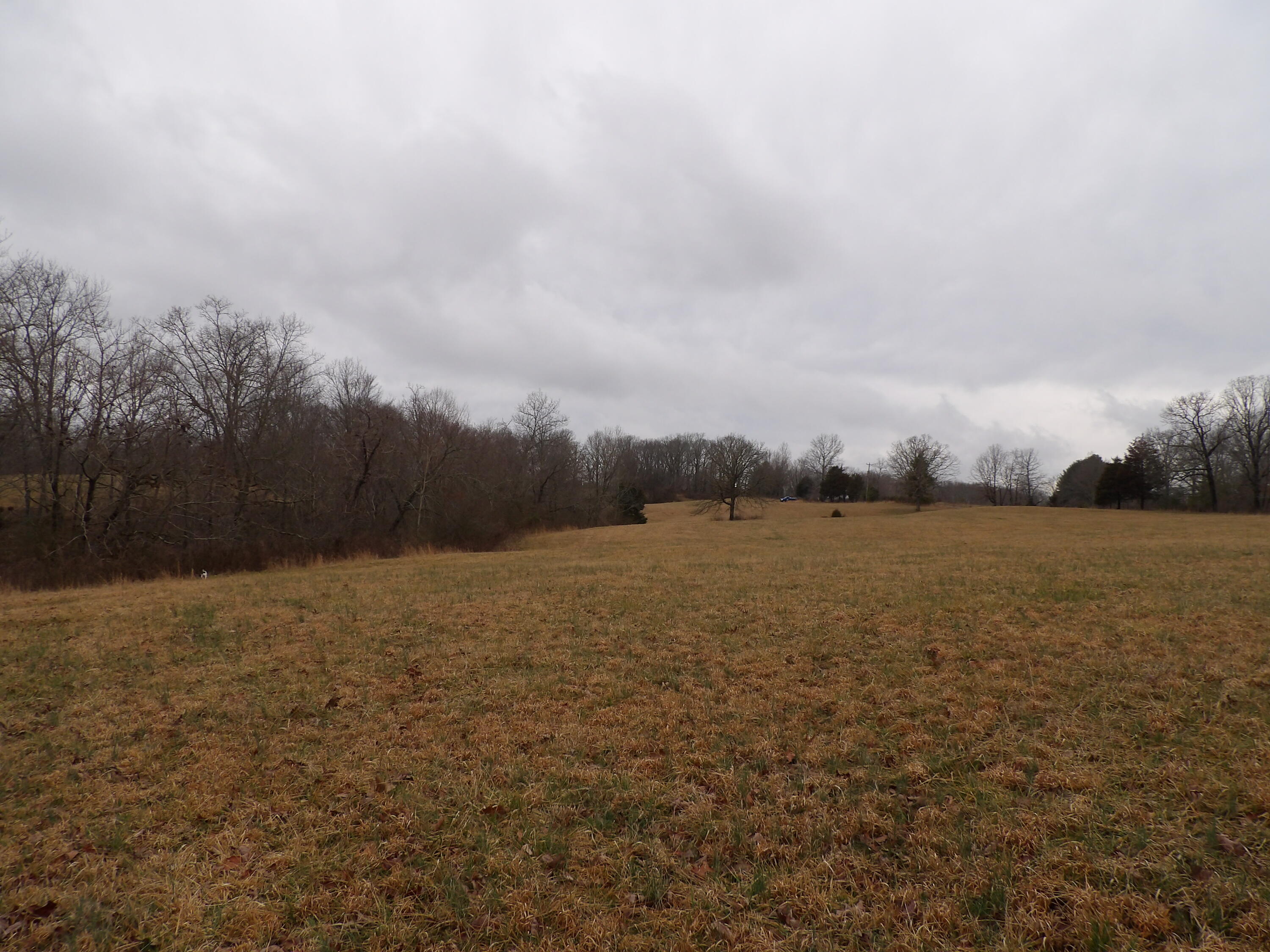 50 Griffith Road Pikeville, TN 37367 - Photo 15 of 22 100_2240