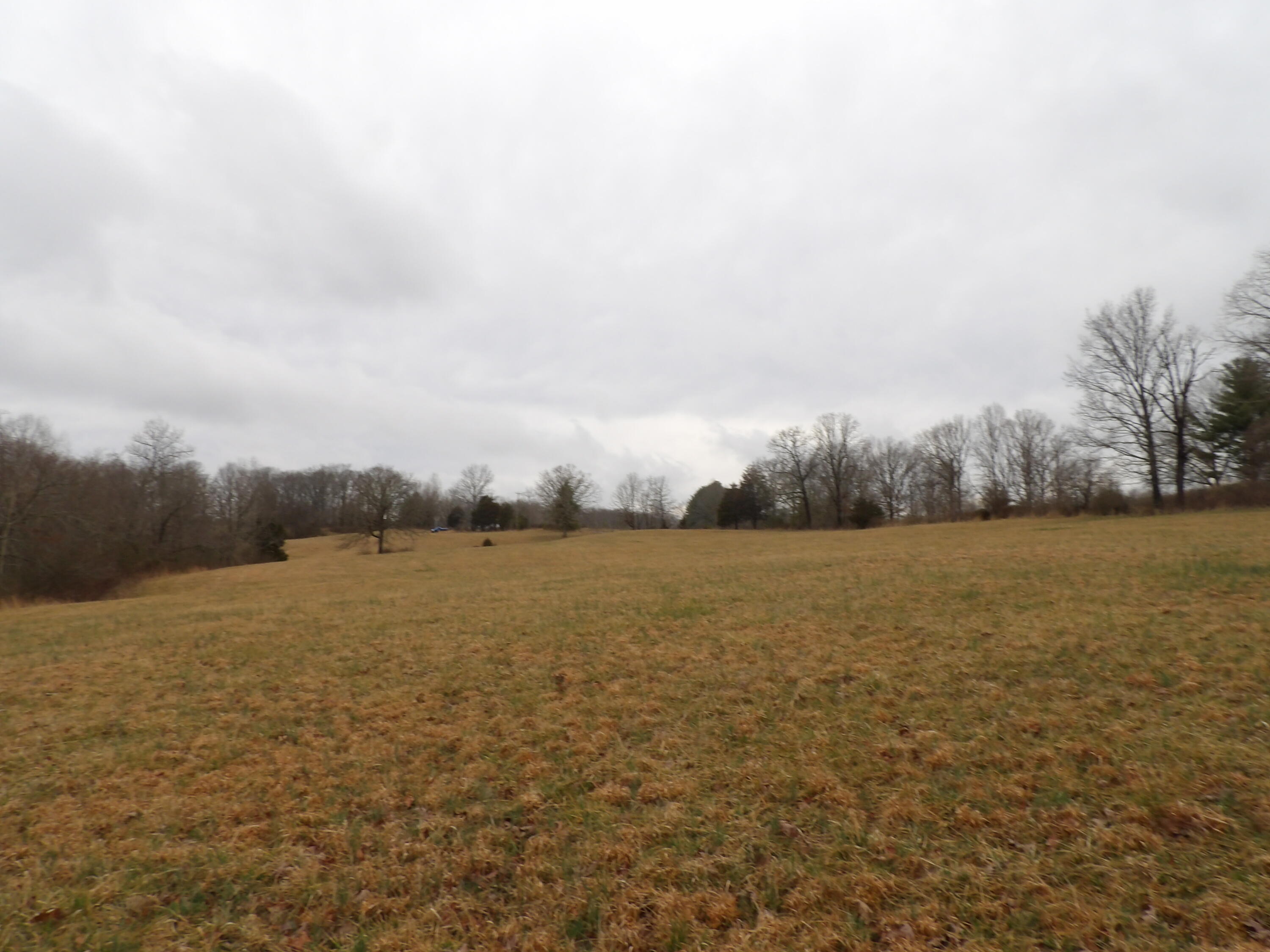 50 Griffith Road Pikeville, TN 37367 - Photo 16 of 22 100_2241