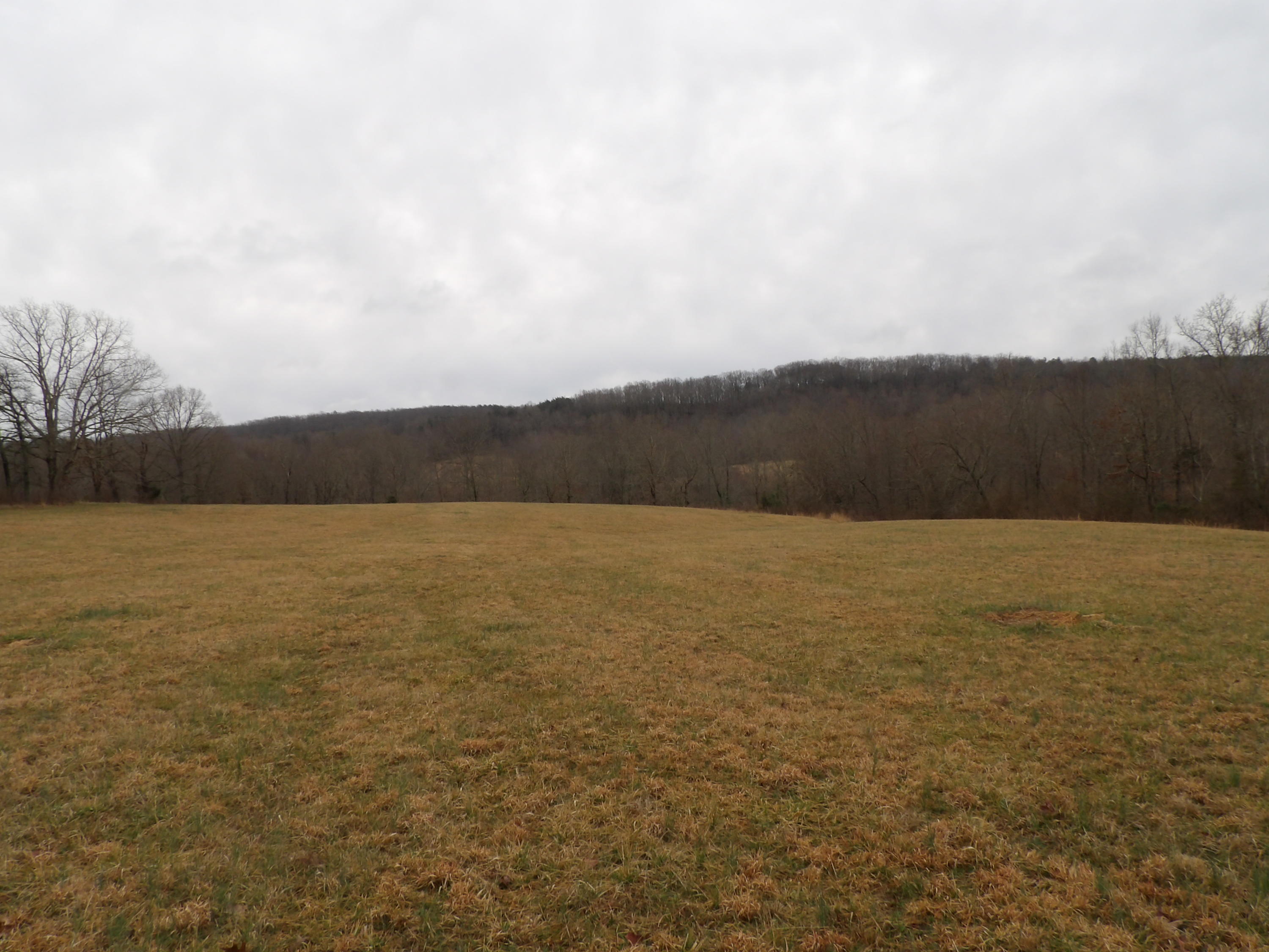 50 Griffith Road Pikeville, TN 37367 - Photo 18 of 22 100_2243