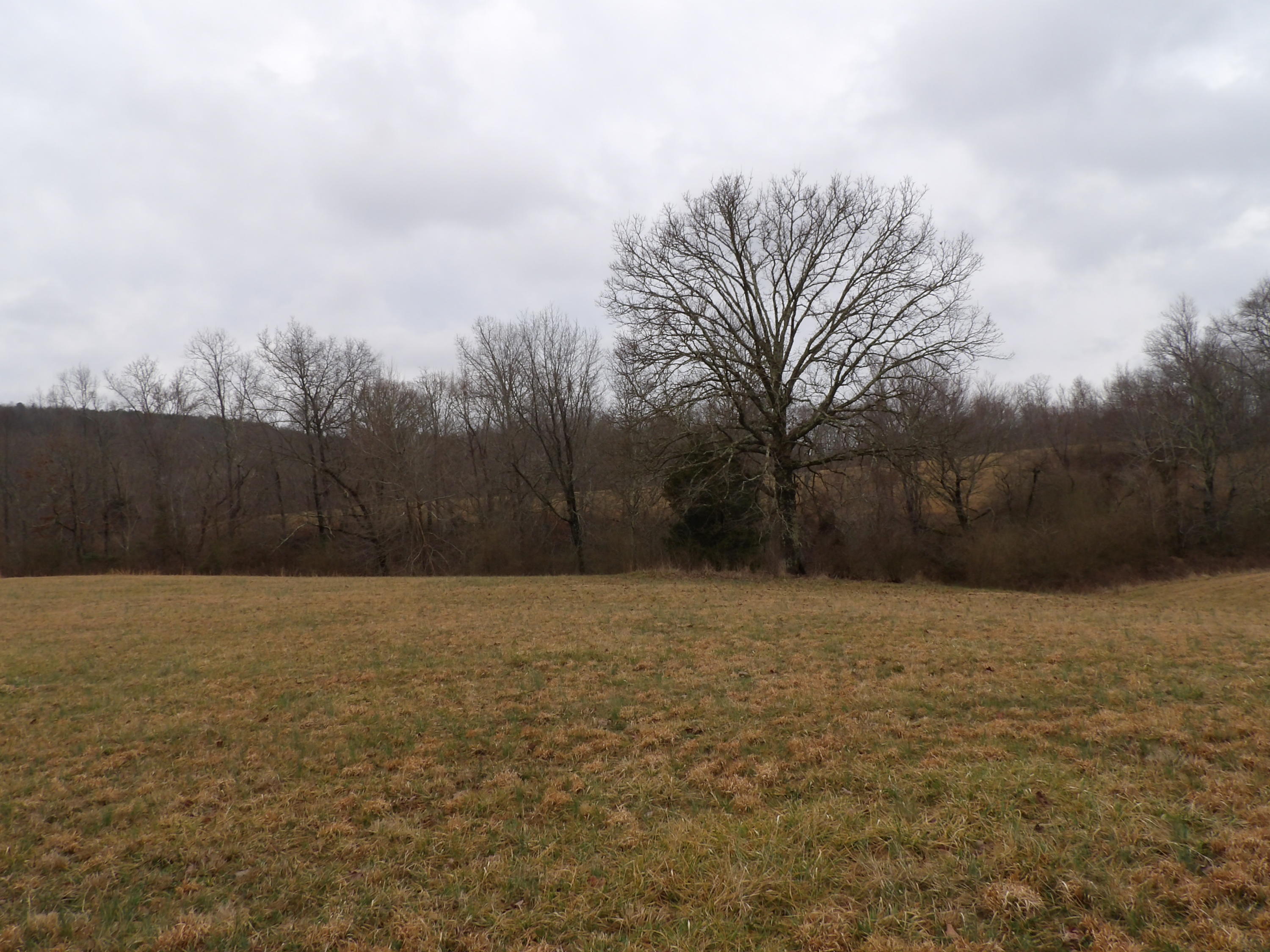 50 Griffith Road Pikeville, TN 37367 - Photo 19 of 22 100_2244