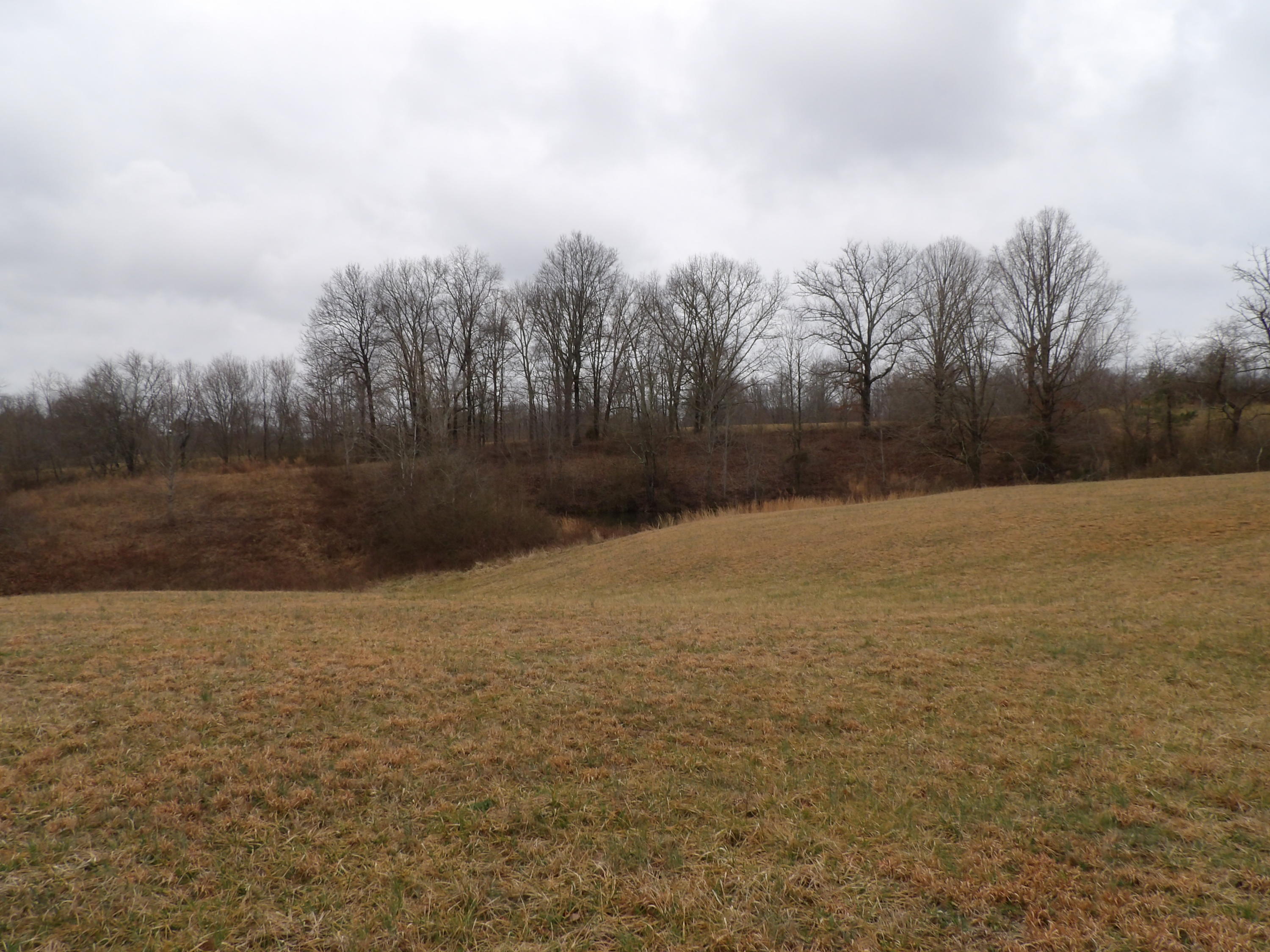 50 Griffith Road Pikeville, TN 37367 - Photo 20 of 22 100_2245