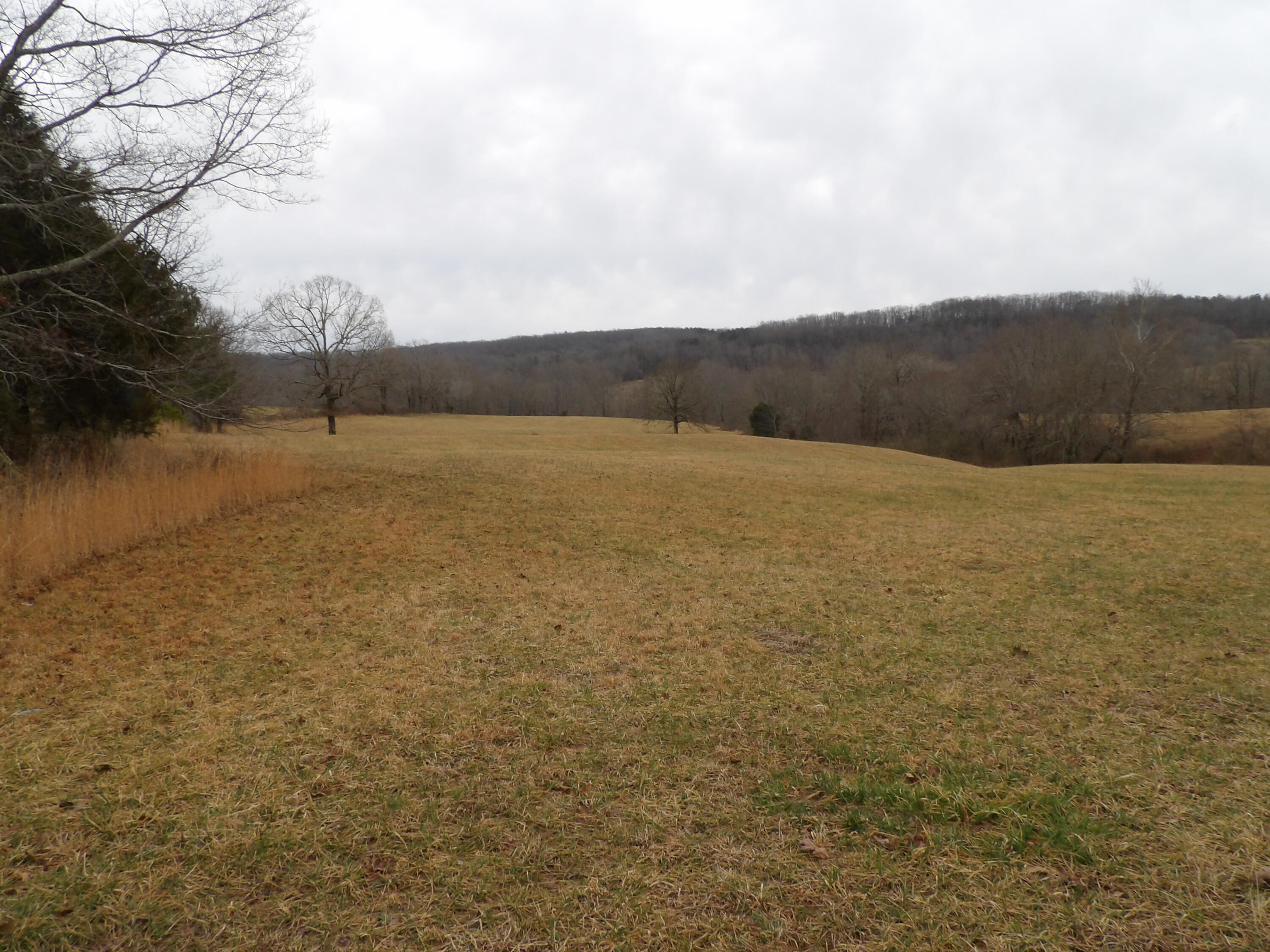 50 Griffith Road Pikeville, TN 37367 - Photo 3 of 22 100_2226
