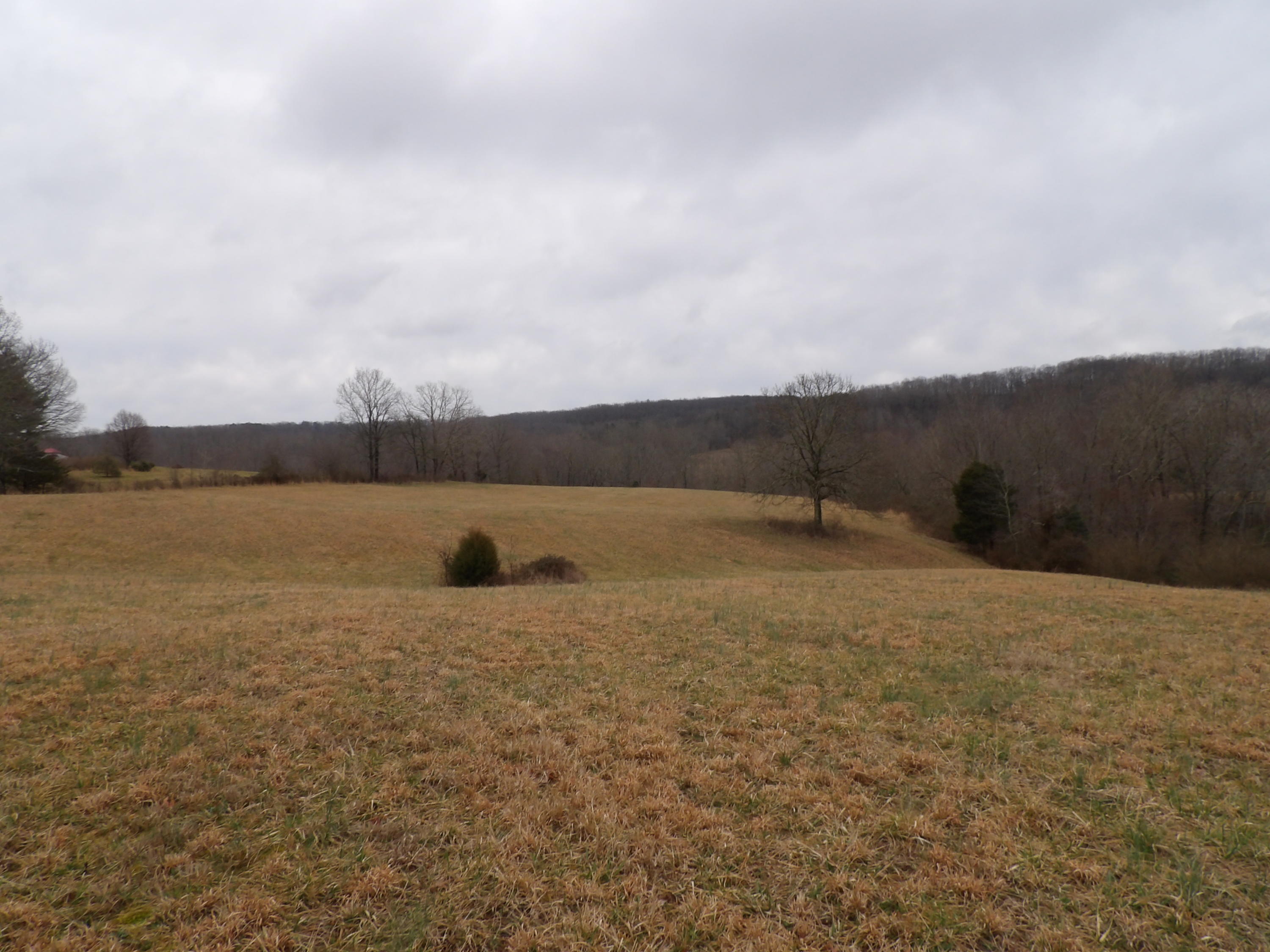 50 Griffith Road Pikeville, TN 37367 - Photo 21 of 22 100_2246