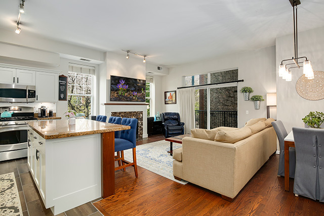 247 West Scott Street, Unit 209 Chicago, IL 60610 - Photo 3 of 20