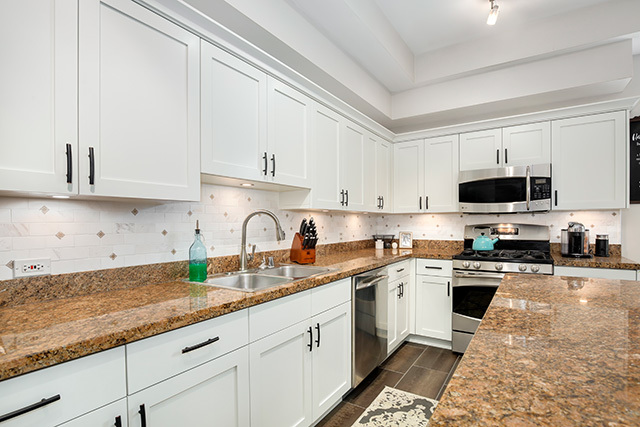247 West Scott Street, Unit 209 Chicago, IL 60610 - Photo 5 of 20