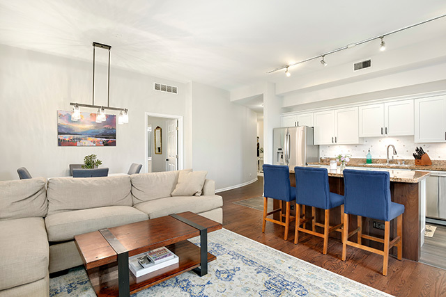 247 West Scott Street, Unit 209 Chicago, IL 60610 - Photo 7 of 20