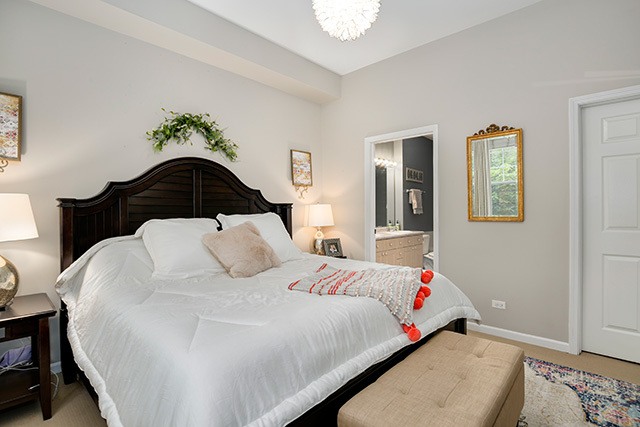 247 West Scott Street, Unit 209 Chicago, IL 60610 - Photo 10 of 20