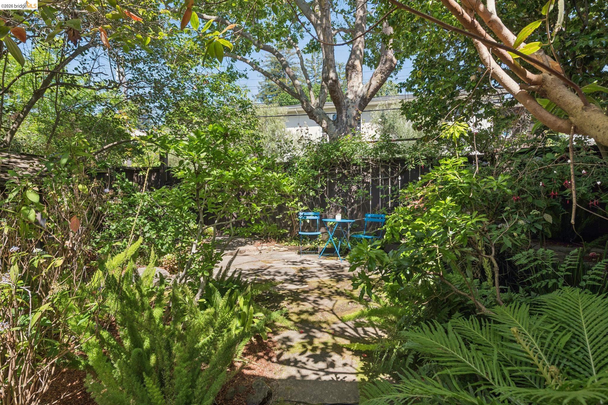 1490 Arch Street Berkeley, CA 94708 - Photo 43 of 57