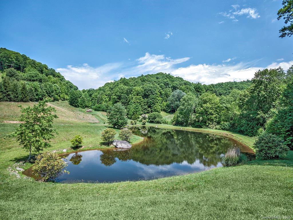 Lot 35 Buckeye Road Hot Springs, NC 28743 - Photo 2 of 10 Gallery Image 2