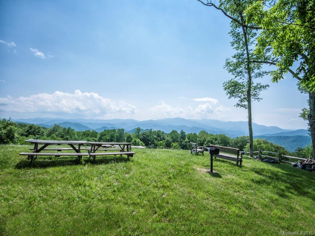 Lot 35 Buckeye Road Hot Springs, NC 28743 - Photo 3 of 10 Gallery Image 3