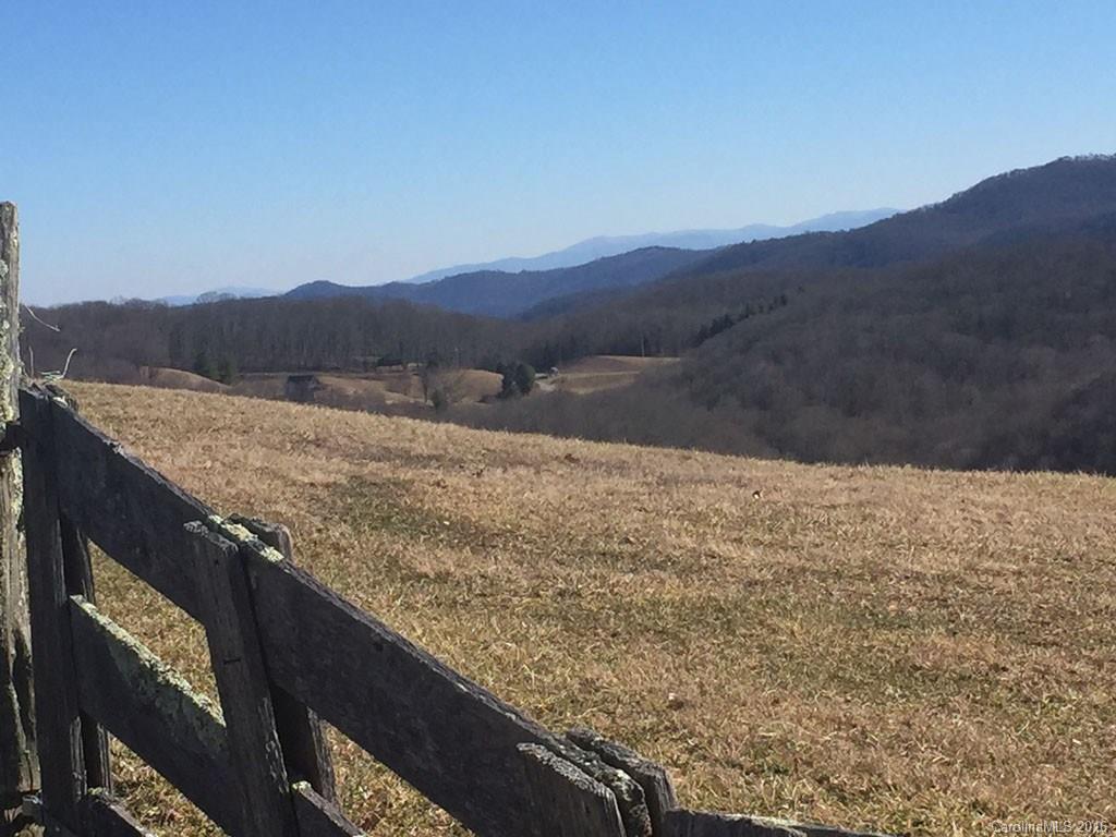 Lot 35 Buckeye Road Hot Springs, NC 28743 - Photo 4 of 10 Gallery Image 4
