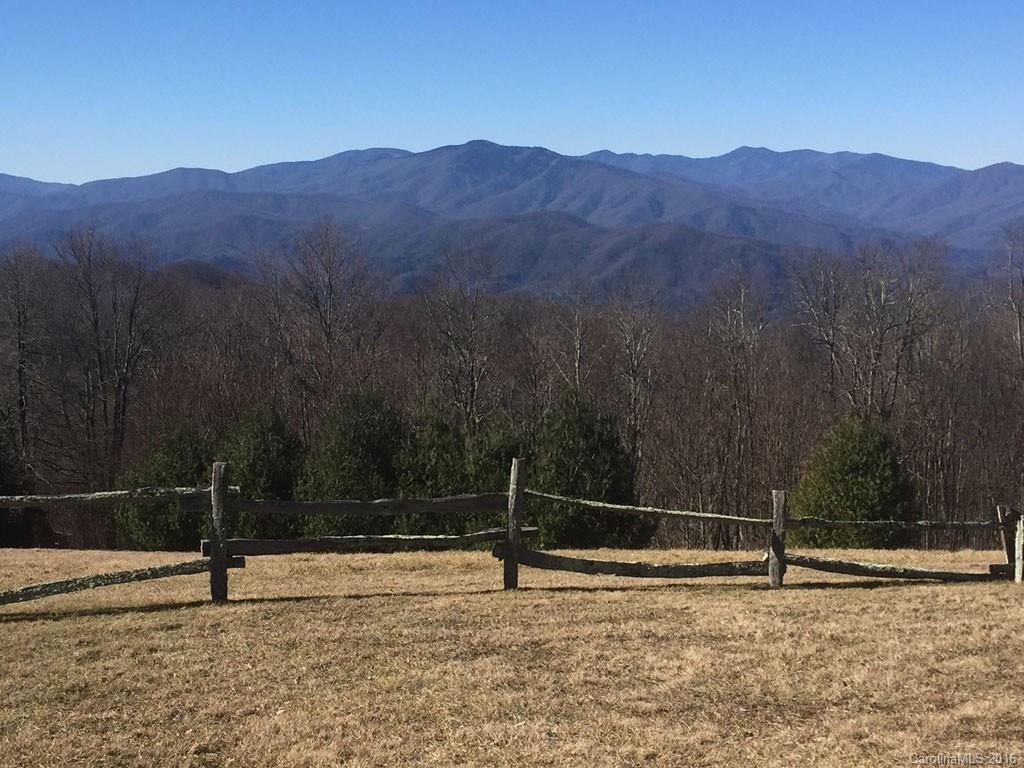 Lot 35 Buckeye Road Hot Springs, NC 28743 - Photo 5 of 10 Gallery Image 5