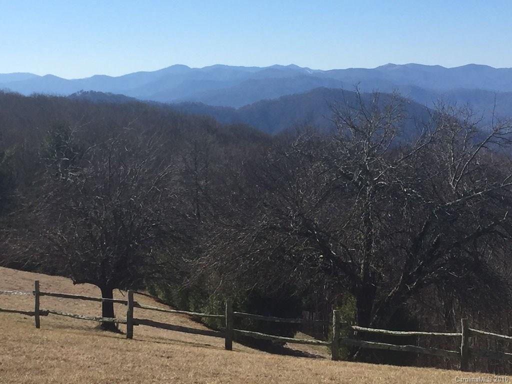 Lot 35 Buckeye Road Hot Springs, NC 28743 - Photo 7 of 10 Gallery Image 7