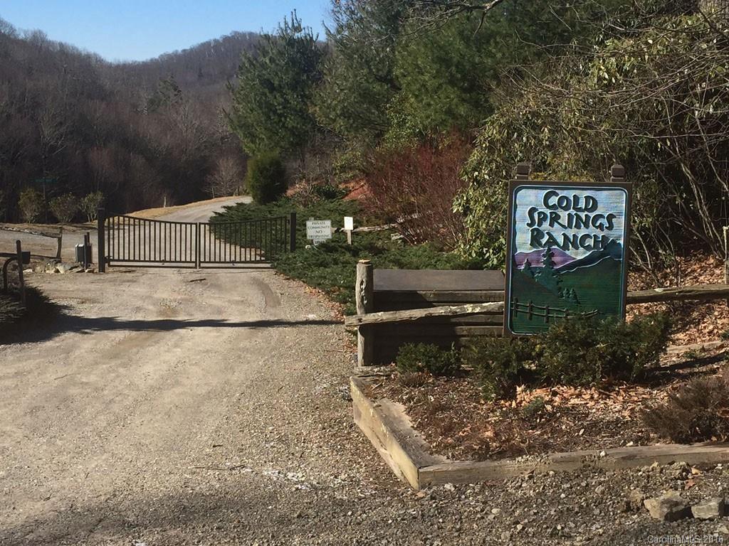 Lot 35 Buckeye Road Hot Springs, NC 28743 - Photo 8 of 10 Gallery Image 8