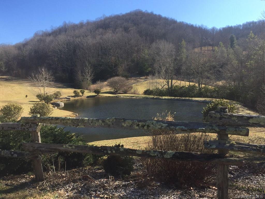 Lot 35 Buckeye Road Hot Springs, NC 28743 - Photo 9 of 10 Gallery Image 9