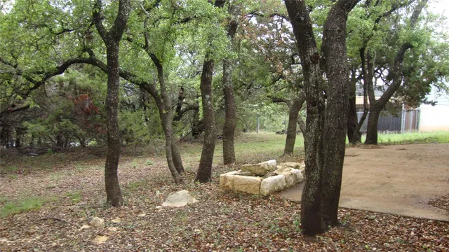 a view of a bunch of trees and bushes
