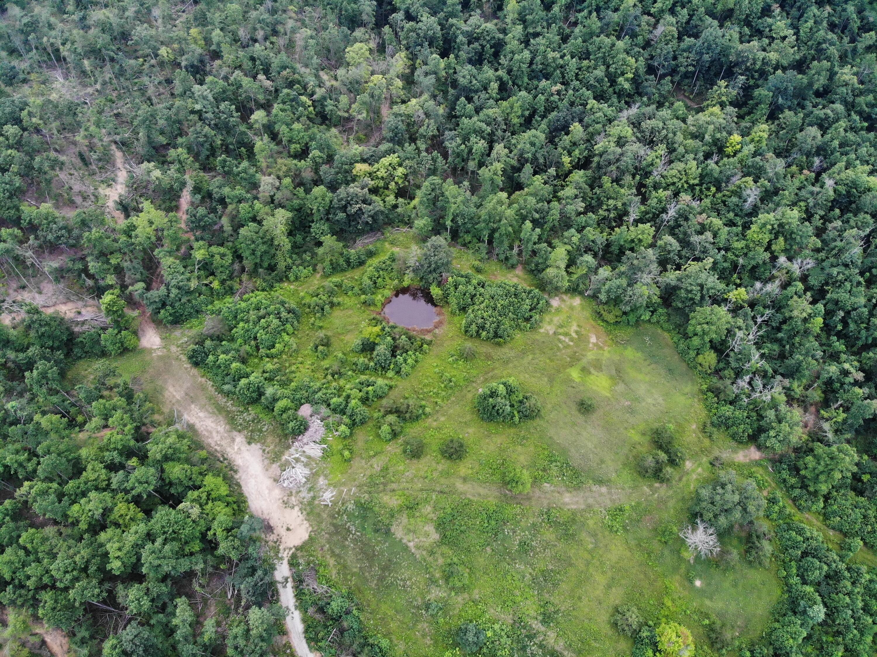 9015 McKee Road Irvine, KY 40336 - Photo 16 of 33 DJI_0991