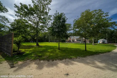 a view of a park with large trees