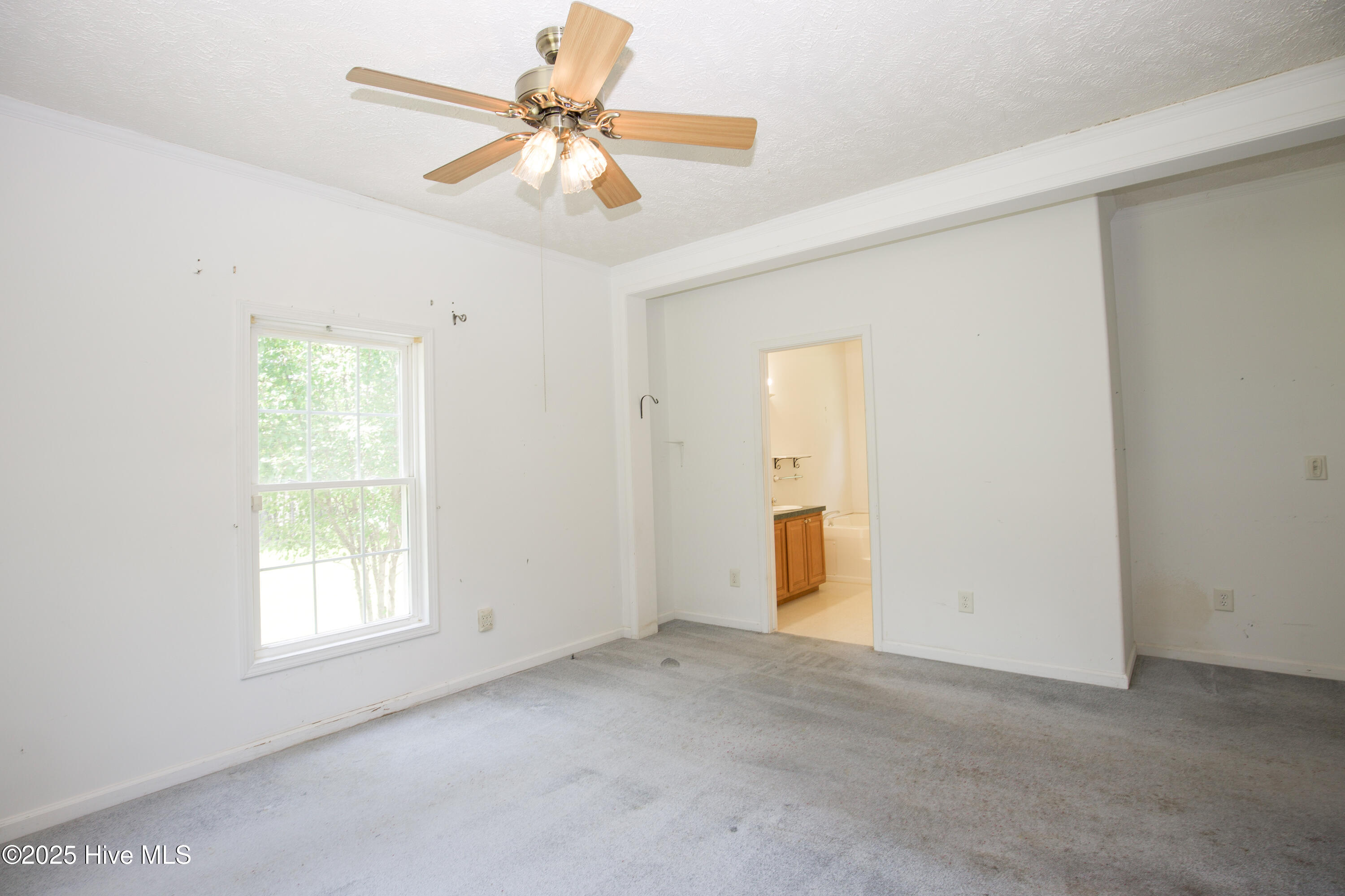 424 Bingham Street Carthage, NC 28327 - Photo 19 of 87 424 Bingham St-71