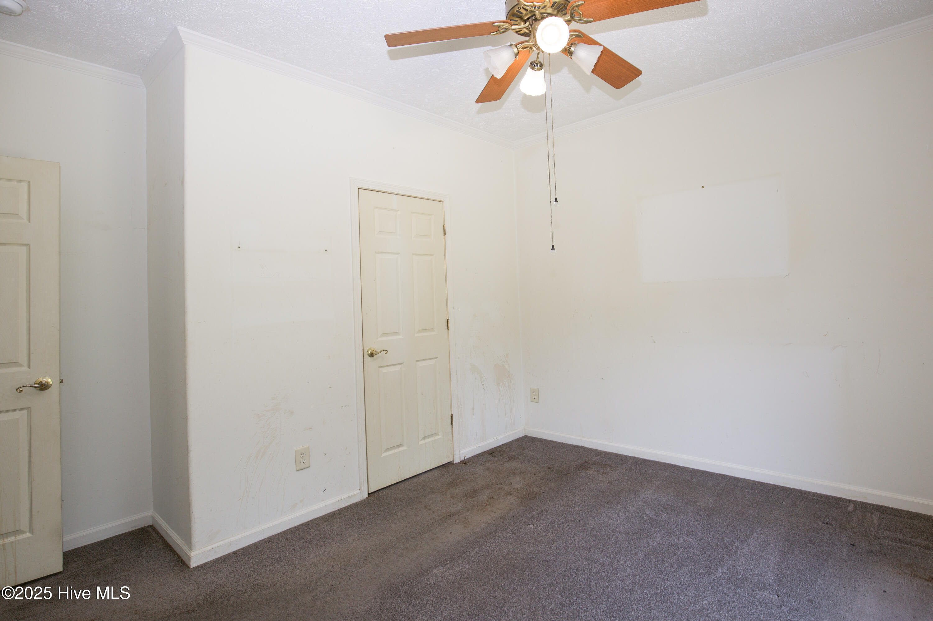 424 Bingham Street Carthage, NC 28327 - Photo 46 of 87 424 Bingham St-53