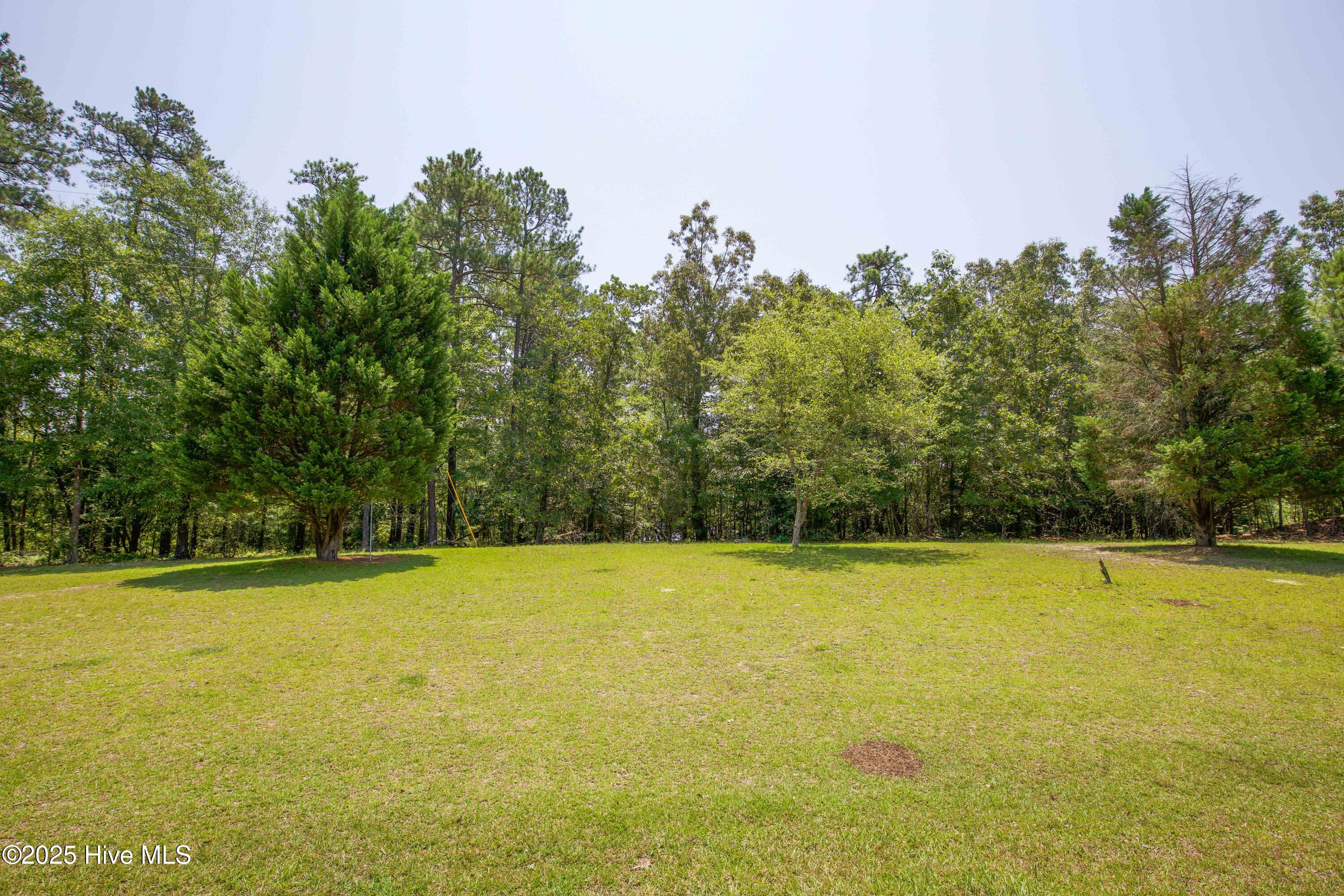 424 Bingham Street Carthage, NC 28327 - Photo 6 of 87 424 Bingham St-7