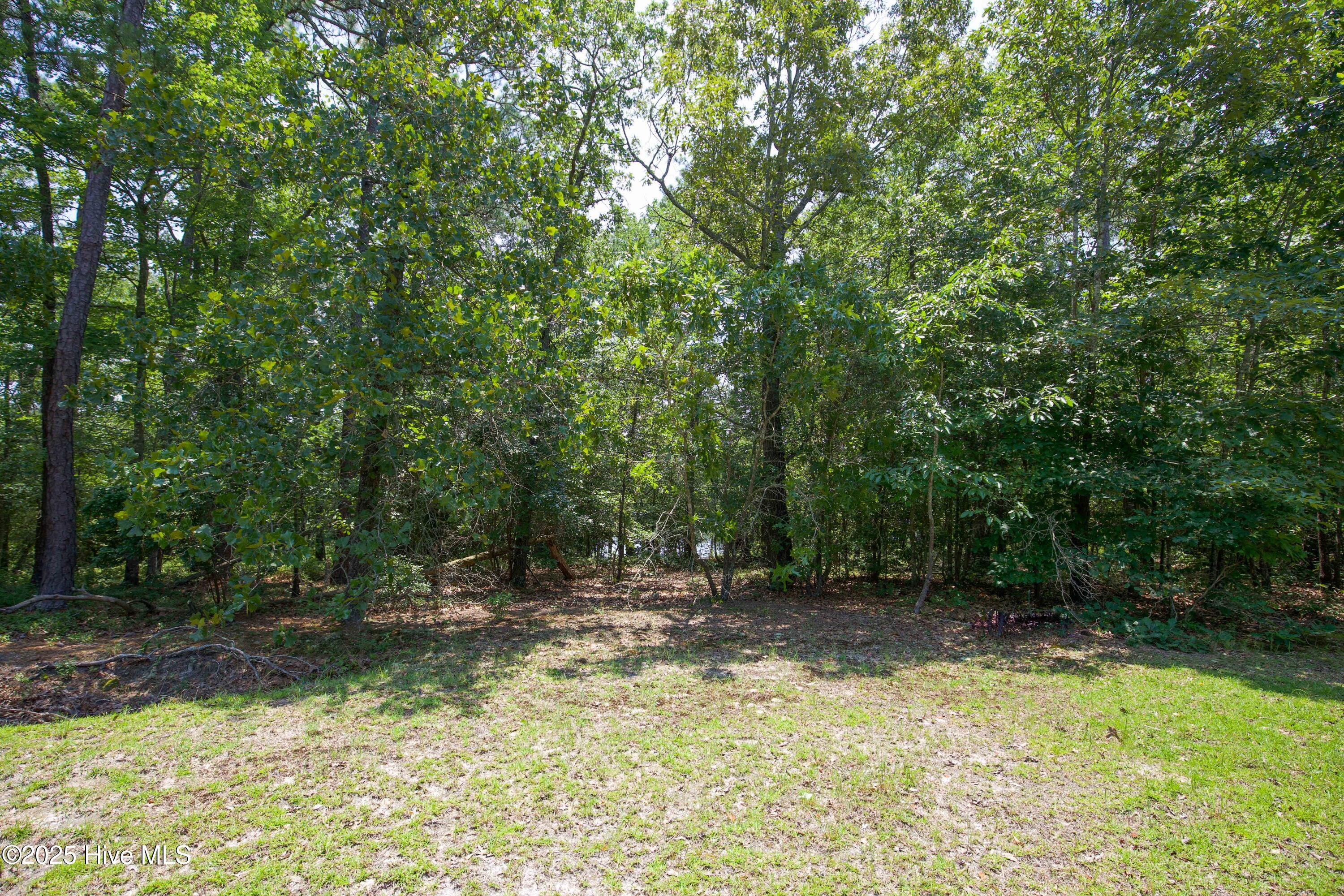 424 Bingham Street Carthage, NC 28327 - Photo 74 of 87 424 Bingham St-5