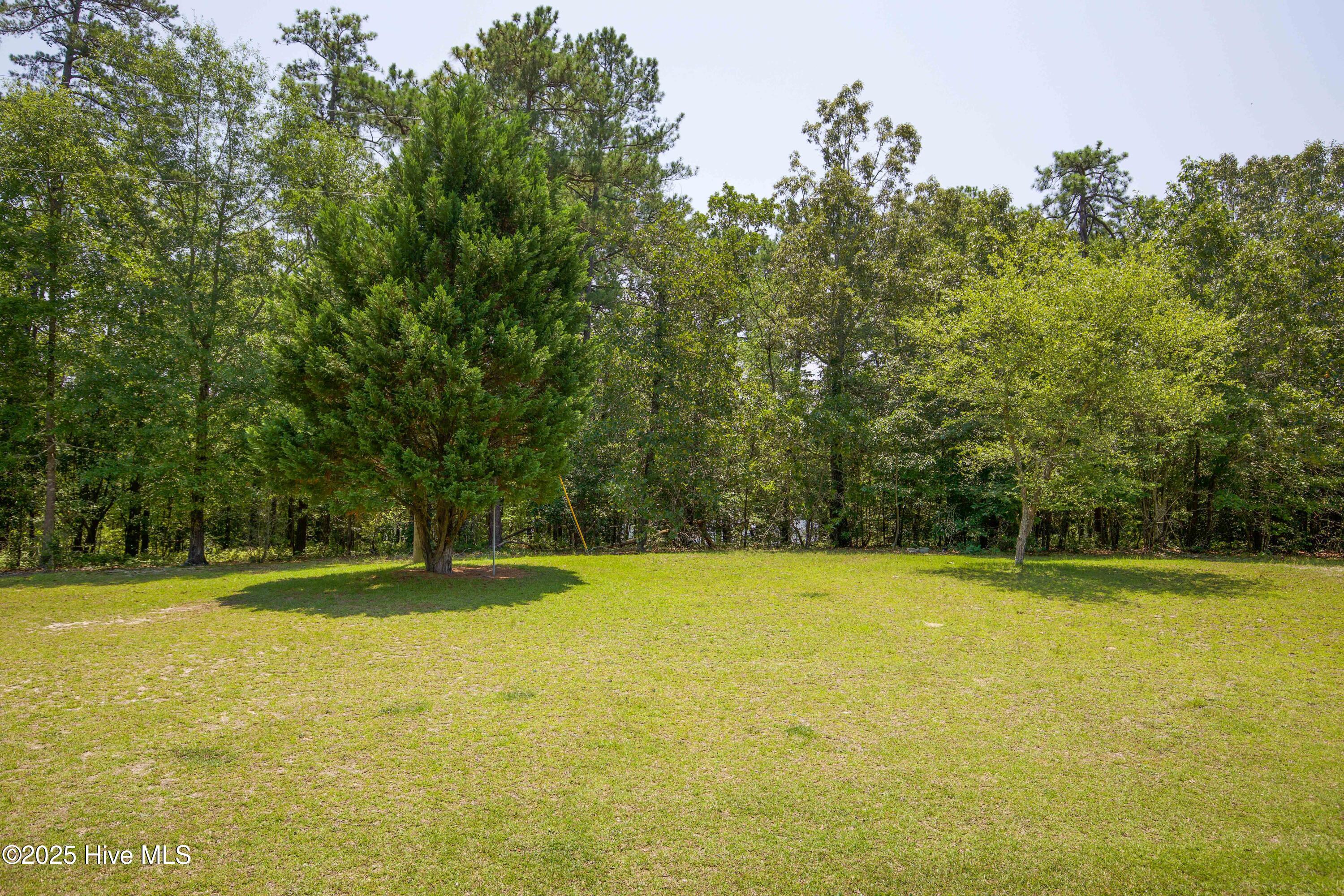 424 Bingham Street Carthage, NC 28327 - Photo 78 of 87 424 Bingham St-11