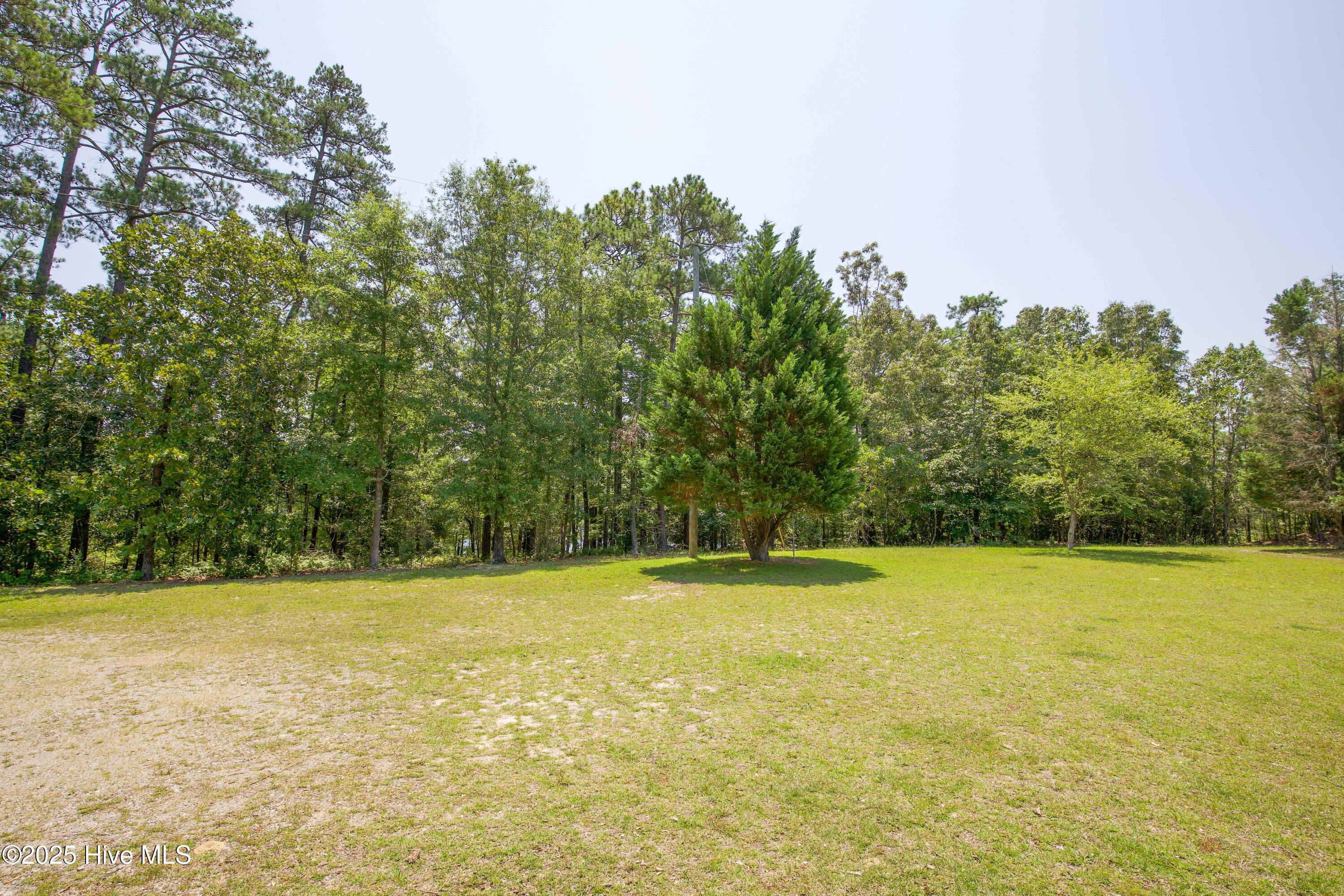 424 Bingham Street Carthage, NC 28327 - Photo 79 of 87 424 Bingham St-25