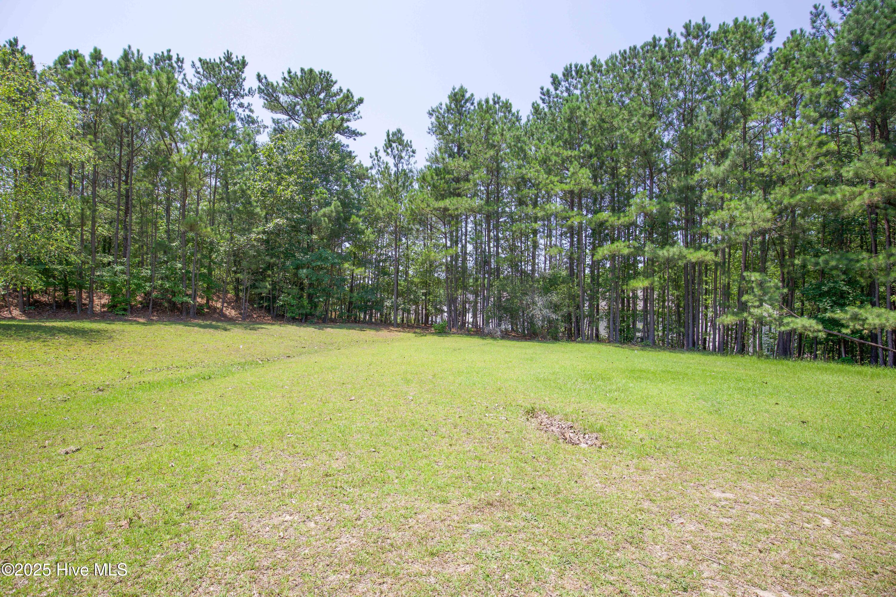 424 Bingham Street Carthage, NC 28327 - Photo 80 of 87 424 Bingham St-12