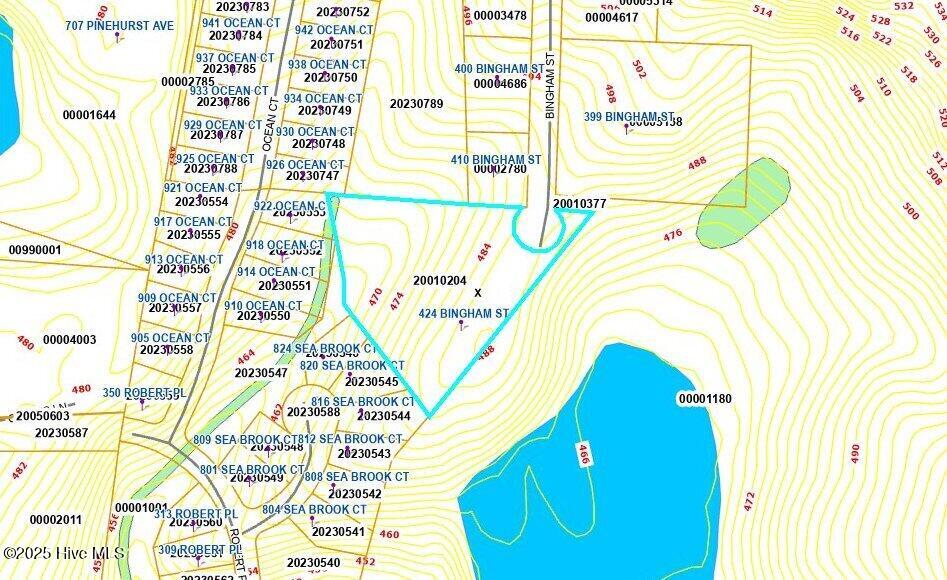 424 Bingham Street Carthage, NC 28327 - Photo 85 of 87 Hillshade Contour Zoomed Out