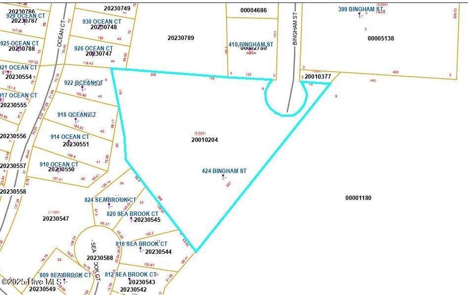 424 Bingham Street Carthage, NC 28327 - Photo 87 of 87 Hillshade