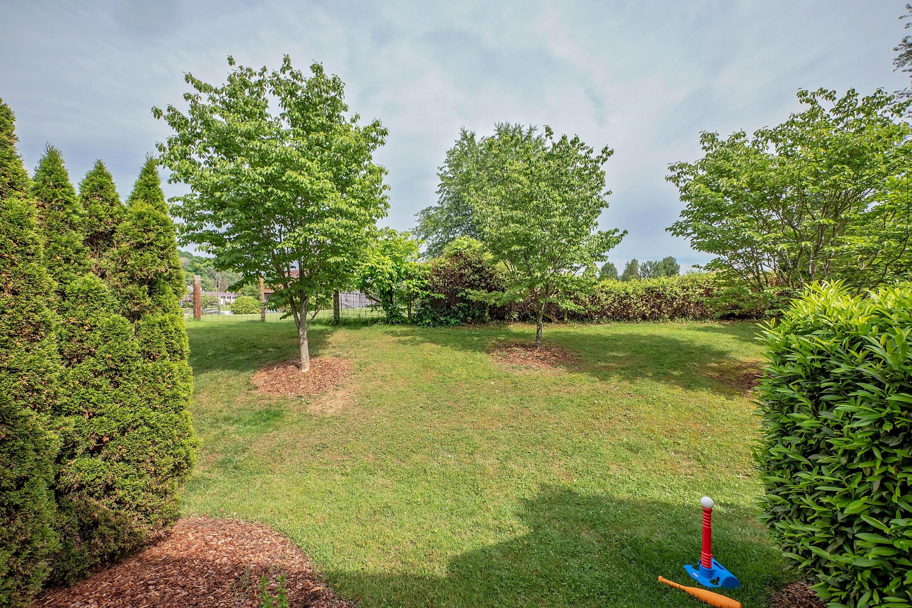 2748 Edinburgh Channel Road Kingsport, TN 37664 - Photo 34 of 39 P1530609