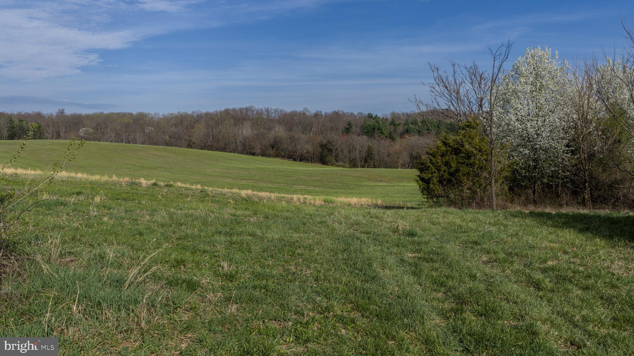 2341 Cross Section Road Westminster, MD 21158 - Photo 2 of 17