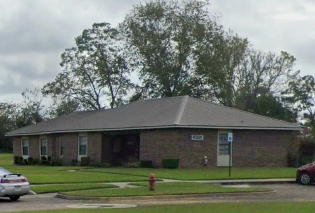 a view of a yard in front of a house