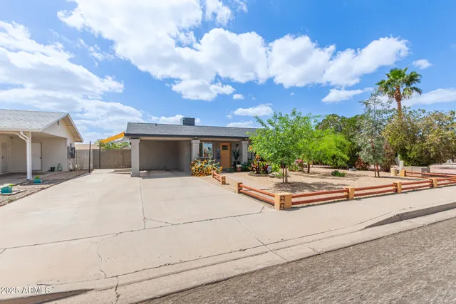 a potted plant sitting in front of a house