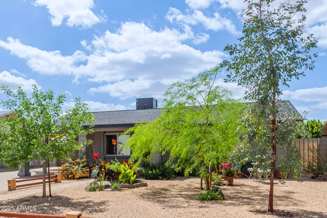 a backyard of a building with large trees