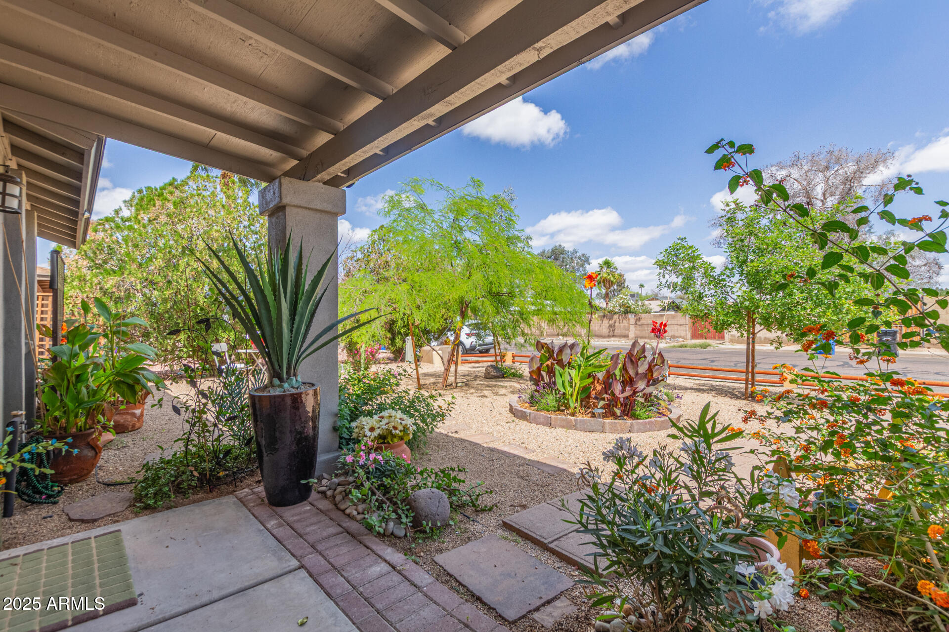 313 West Utopia Road Phoenix, AZ 85027 - Photo 35 of 59 a potted plant sitting in front of a house
