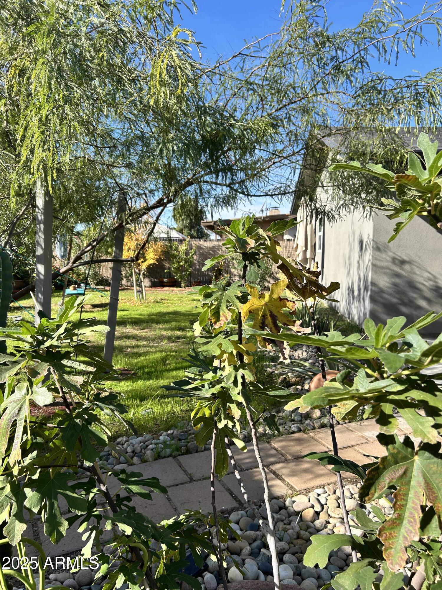 313 West Utopia Road Phoenix, AZ 85027 - Photo 38 of 59 a backyard of a building with large trees