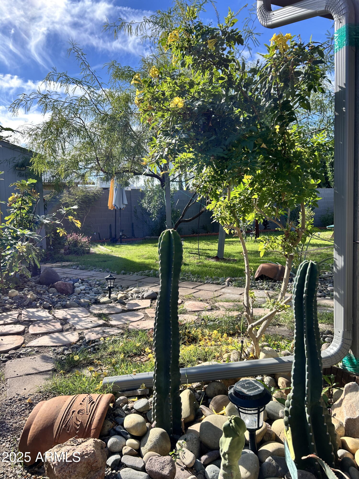 313 West Utopia Road Phoenix, AZ 85027 - Photo 39 of 59 a view of swimming pool with patio