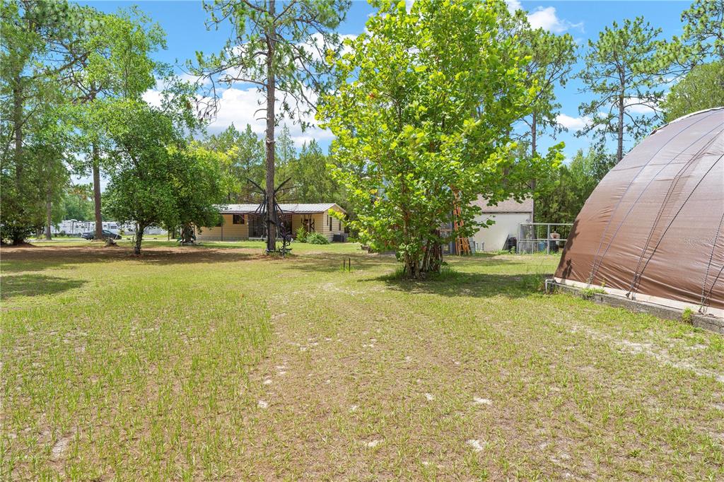 7373 Fall Street Brooksville, FL 34613 - Photo 23 of 26 a view of a patio with table and chairs and a large tree