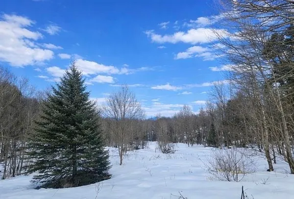 $250,000 | 548 Ober Hill Road, Johnson, VT 05656