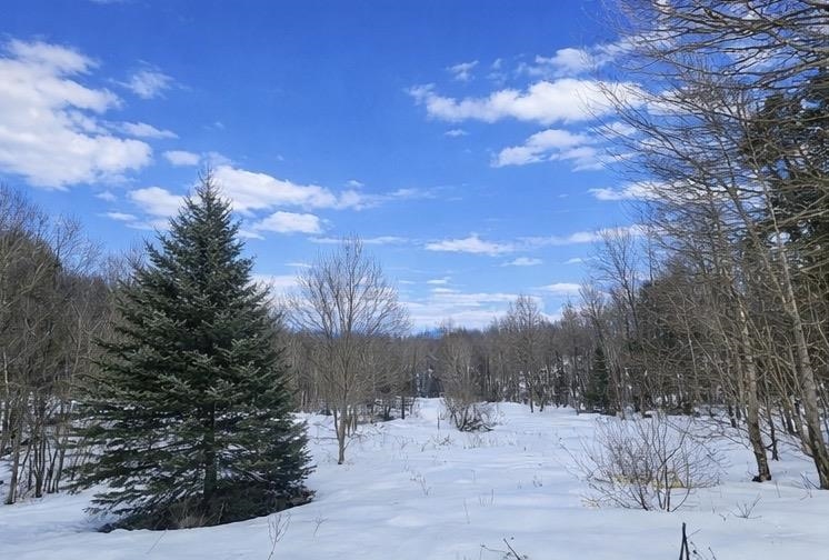 548 Ober Hill Road Johnson, VT 05656 - Photo 16 of 18