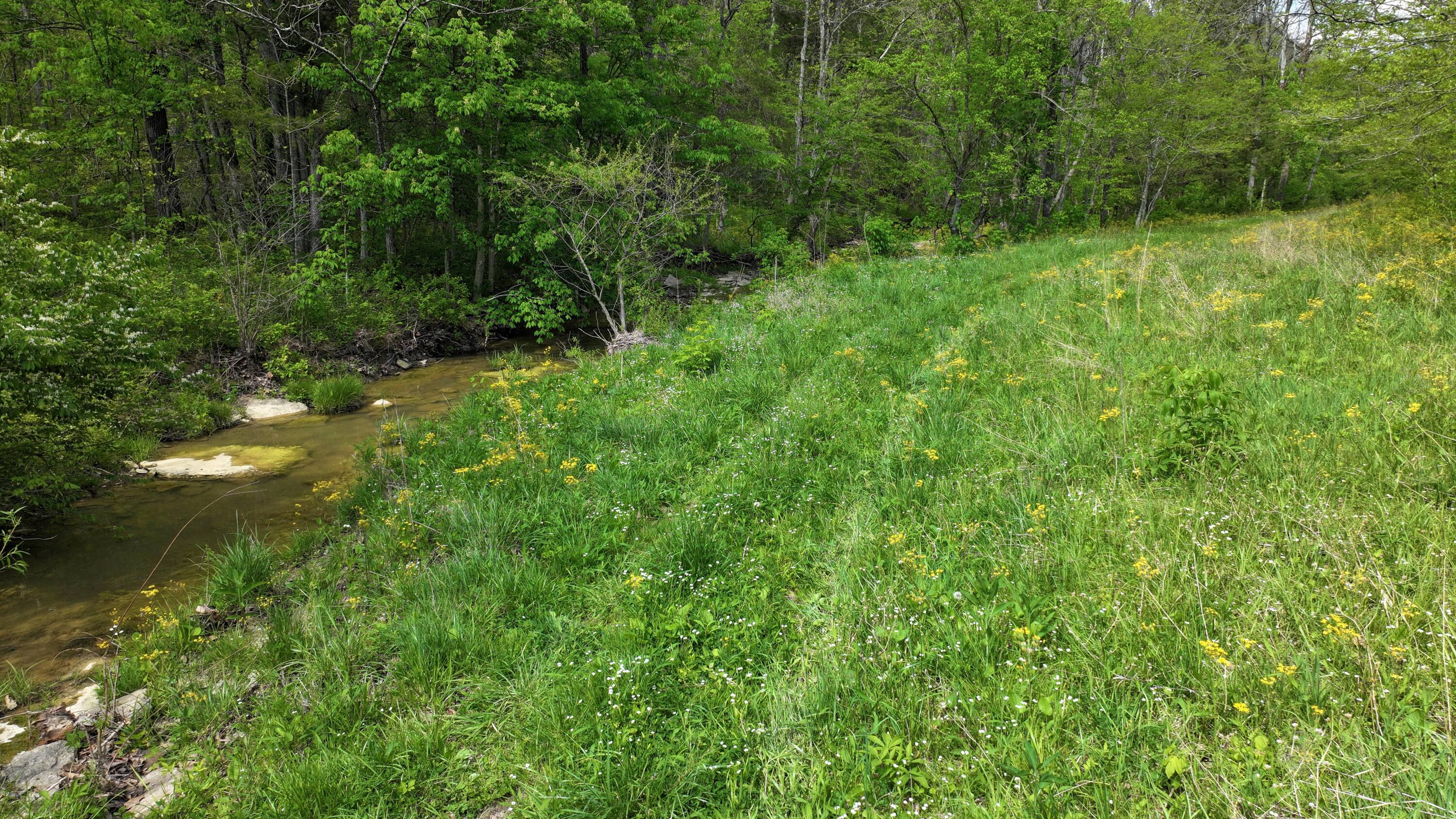 9250 Georgetown Road Owenton, KY 40359 - Photo 7 of 37 Gallery Image 7