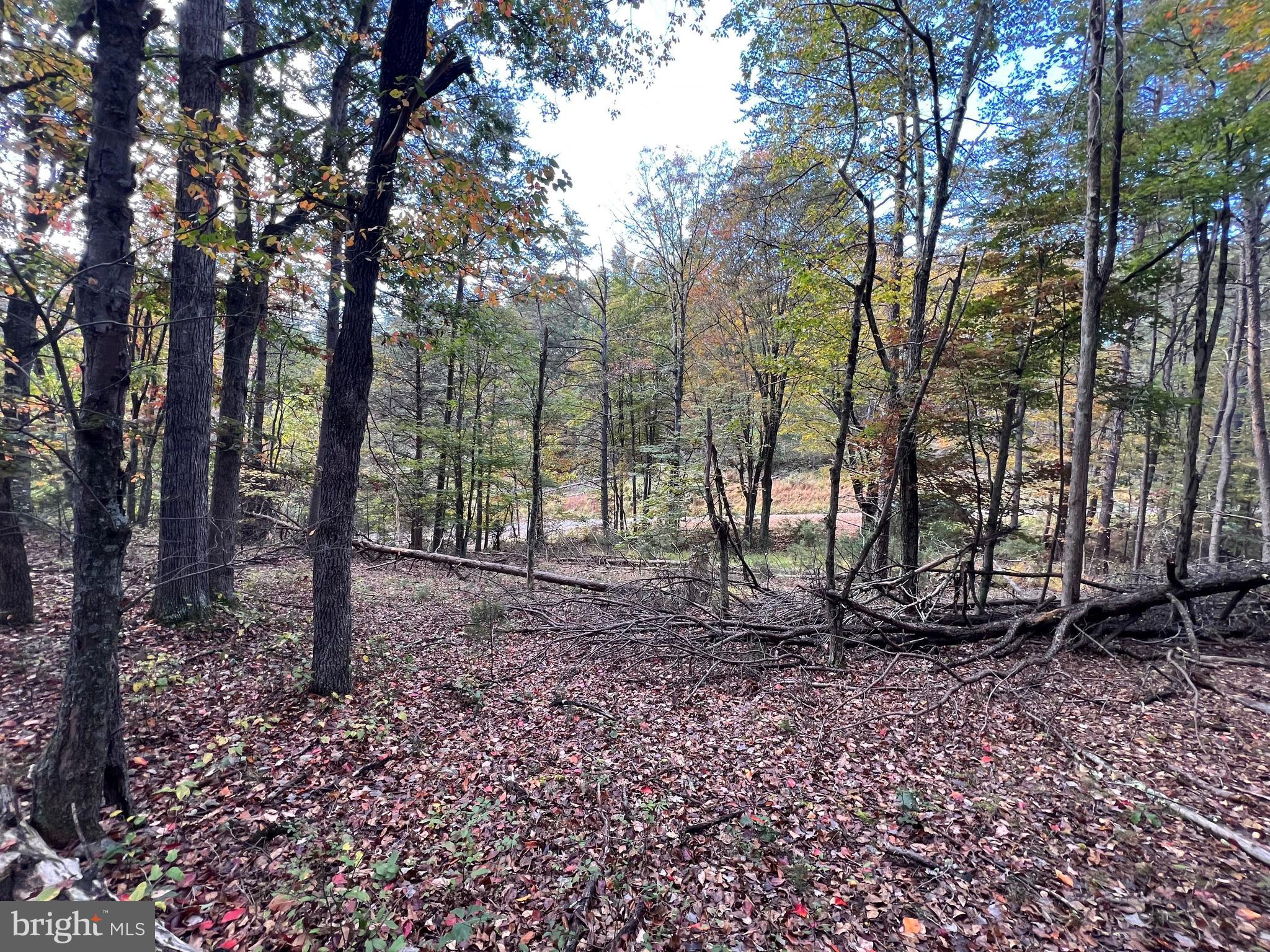 Lot 6 Deep Run Hollow Road Delray, WV 26714 - Photo 5 of 18 a backyard of a house with lots of green space