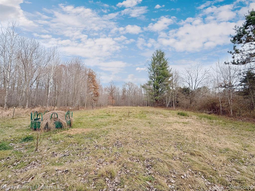 6755 Hess Road Vassar, MI 48768 - Photo 14 of 15