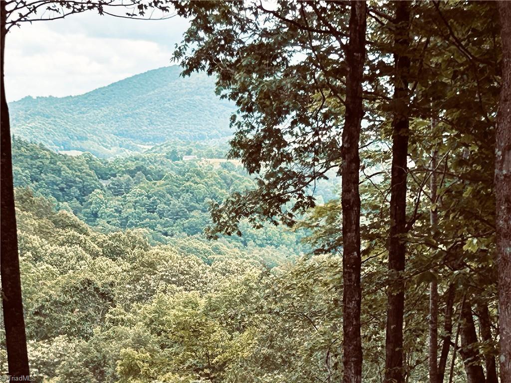 Lot 64 Poplar Forest Drive Boone, NC 28607 - Photo 12 of 23 Lot is flat to gentle rolling, ideal for crawl space or basement