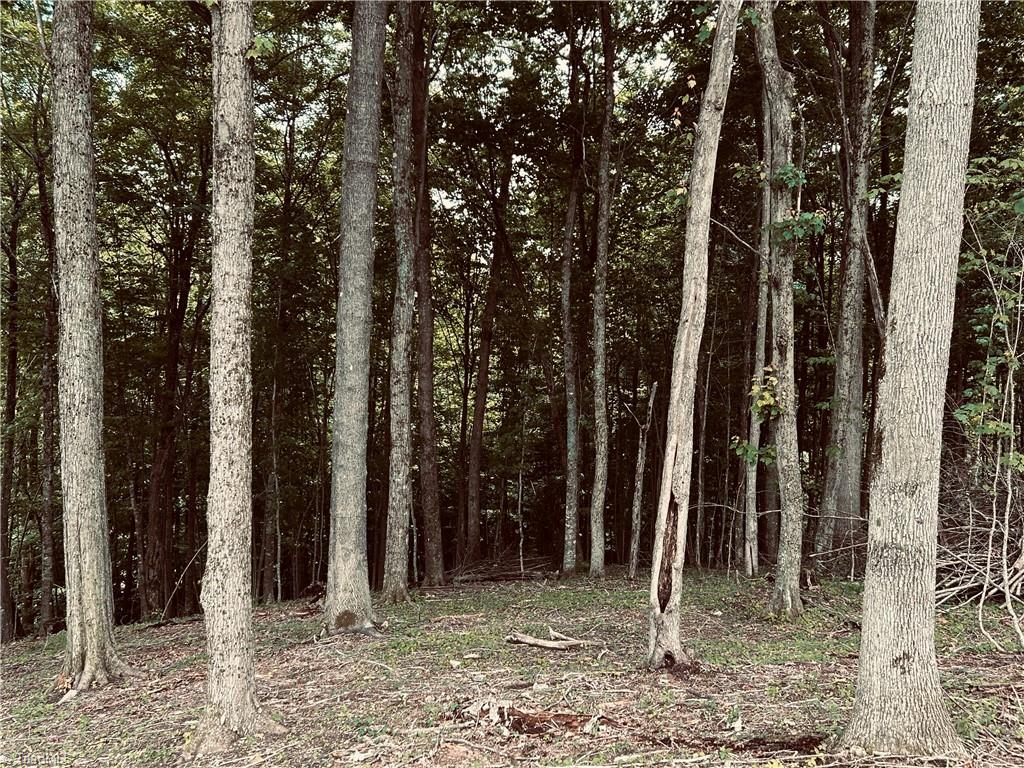 Lot 64 Poplar Forest Drive Boone, NC 28607 - Photo 13 of 23