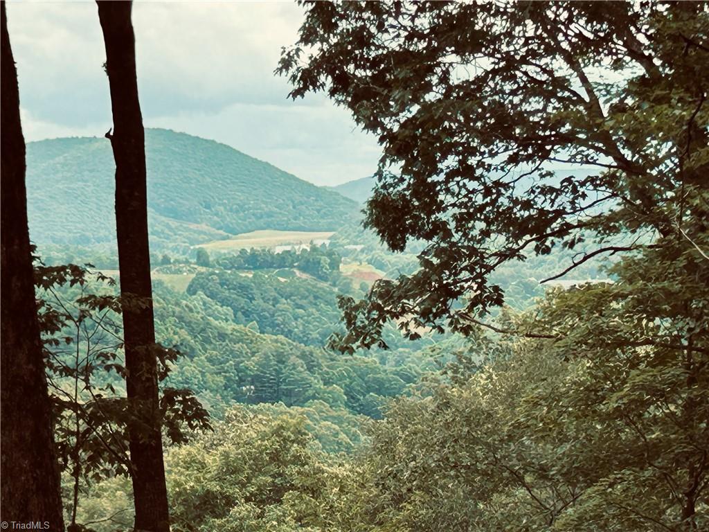 Lot 64 Poplar Forest Drive Boone, NC 28607 - Photo 17 of 23