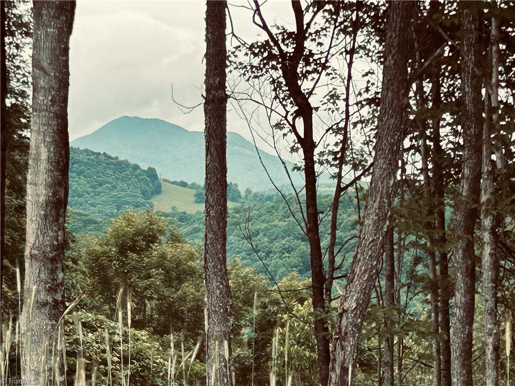 Lot 64 Poplar Forest Drive Boone, NC 28607 - Photo 18 of 23